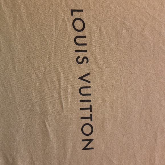 Louis Vuitton Hobo-style Bag with dust cover - Picture 7 of 11